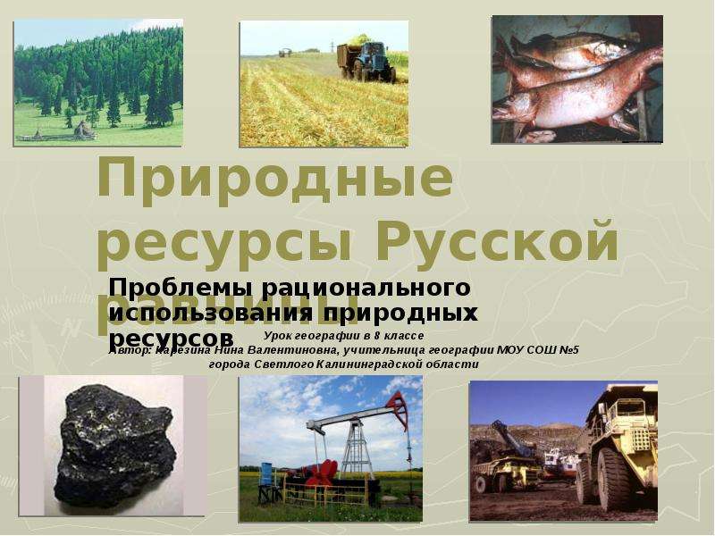 Презентация Природные ресурсы Русской равнины