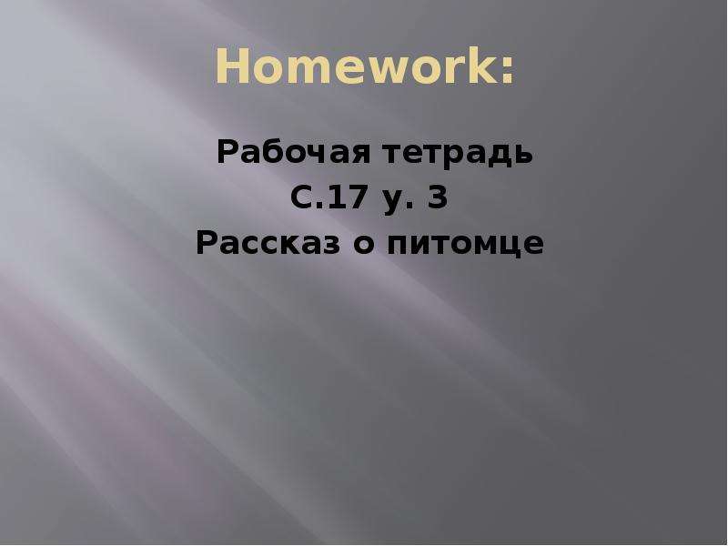 Homework Рабочая тетрадь С.