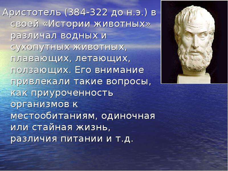 Аристотель - до н.э. в своей