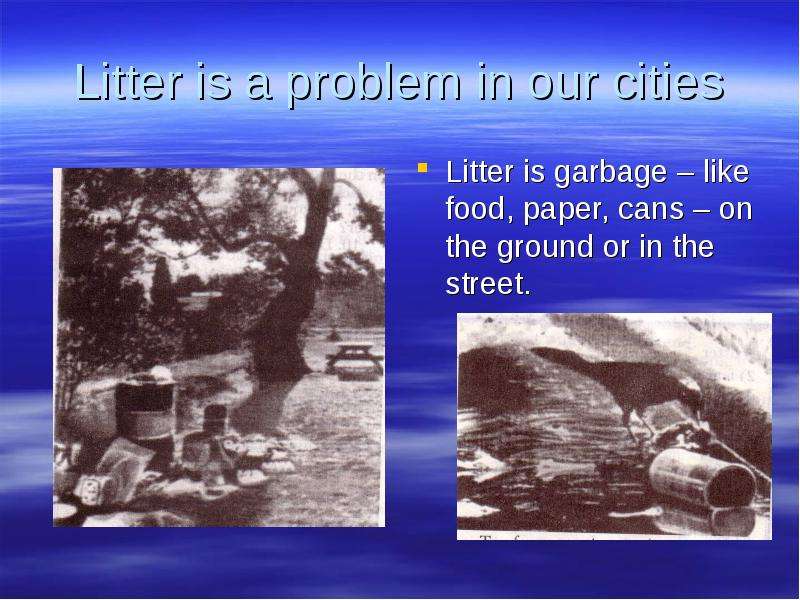 Litter is a problem in our