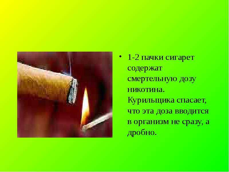 - пачки сигарет содержат