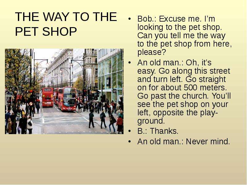 THE WAY TO THE PET SHOP Bob.