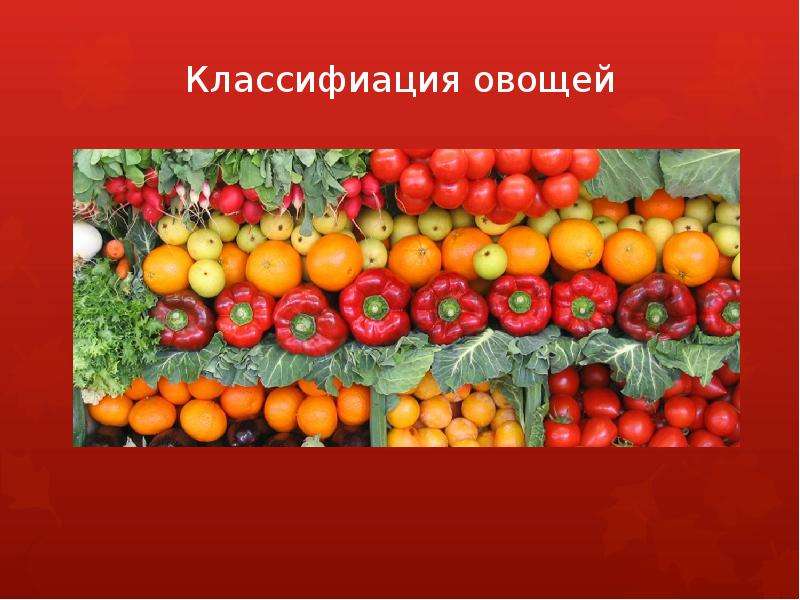Презентация Скачать презентацию Классификация овощей (5 класс)
