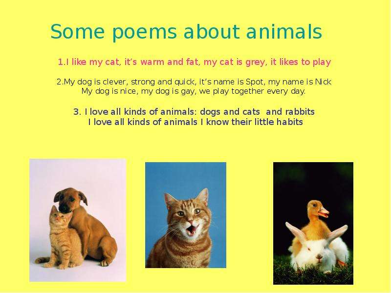 Some poems about animals .I