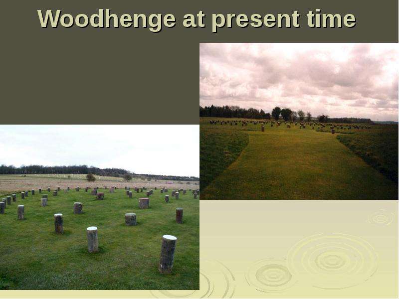 Woodhenge at present time