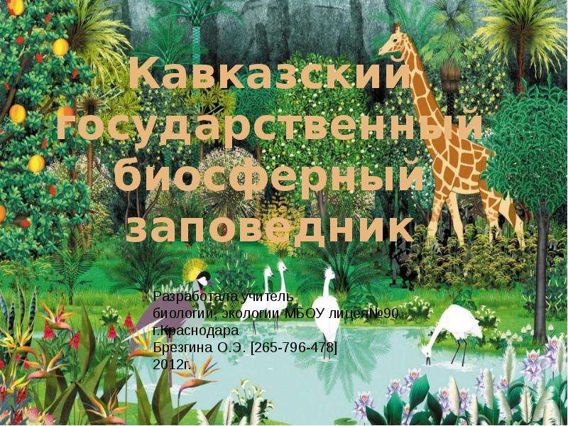 Презентация Кавказский государственный биосферный заповедник