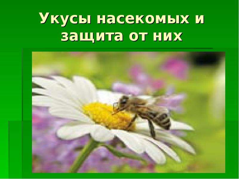 Презентация Скачать презентацию Укусы насекомых и защита от них