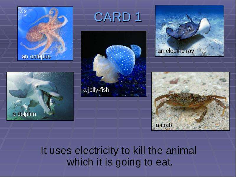 CARD It uses electricity to