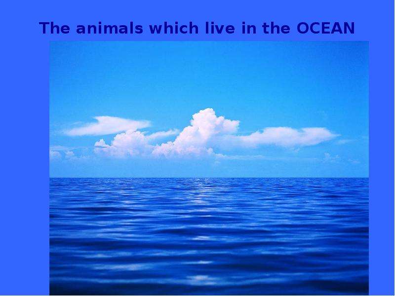 The animals which live in the