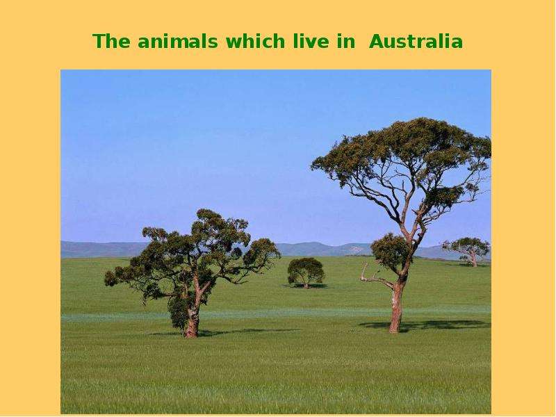 The animals which live in