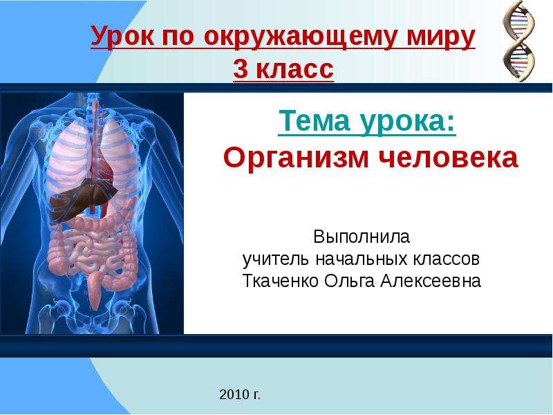 Презентация Скачать презентацию Организм человека и его строение (3 класс)