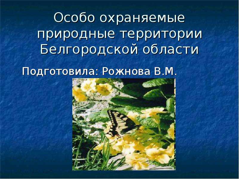 Презентация Особо охраняемые природные территории Белгородской области