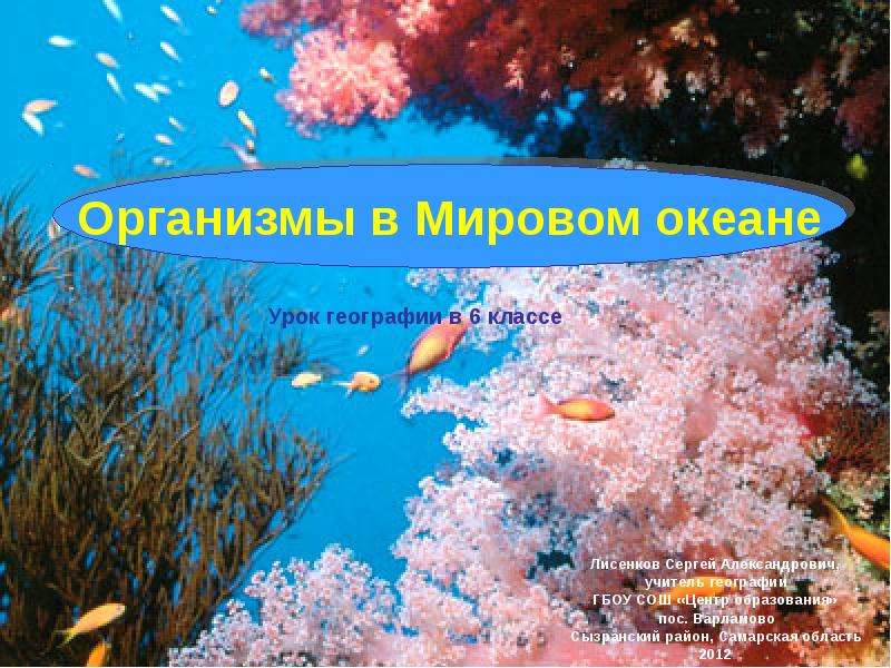 Презентация Организмы в Мировом океане (6 класс)