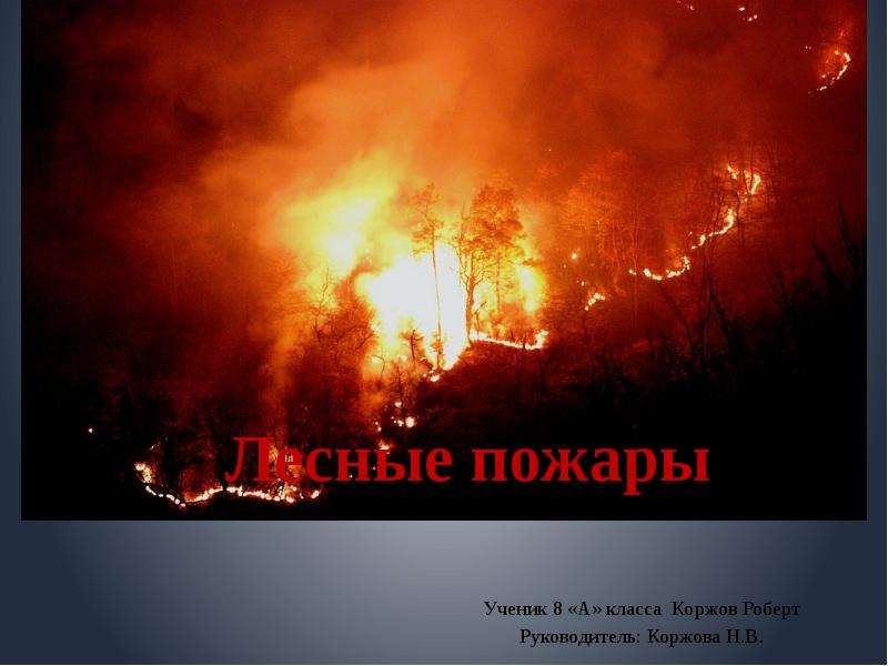 Презентация Скачать презентацию Лесные пожары (8 класс)