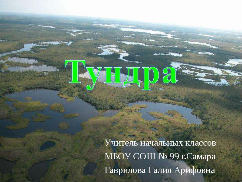 Презентация Скачать презентацию Природные зоны России тундра