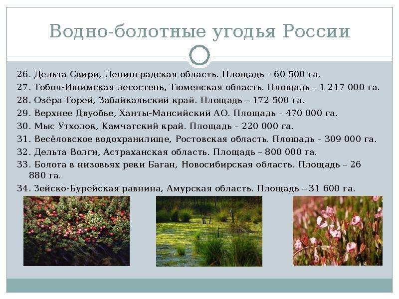 Водно-болотные угодья России