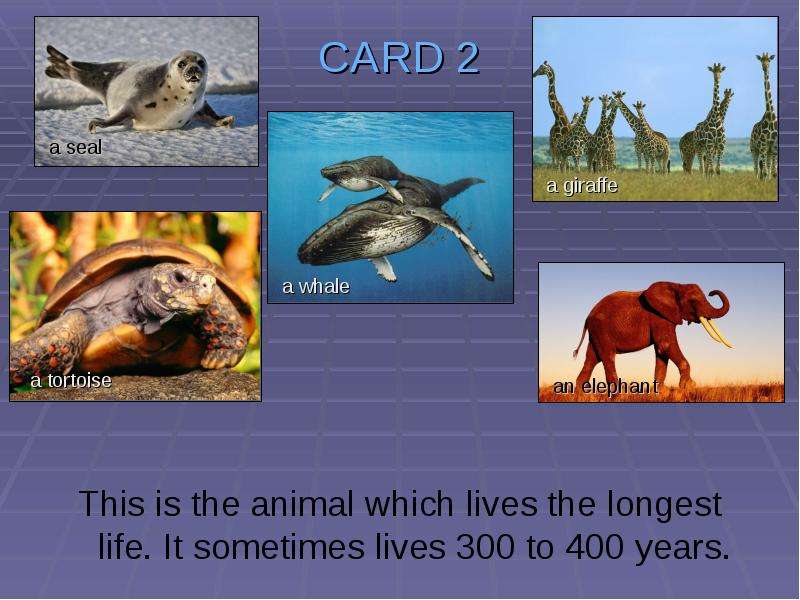 CARD This is the animal which