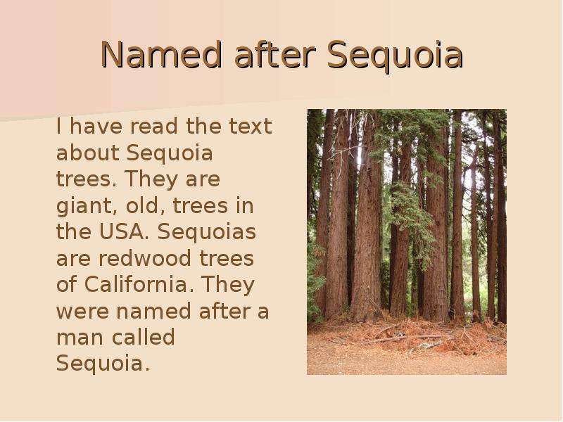 Named after Sequoia I have