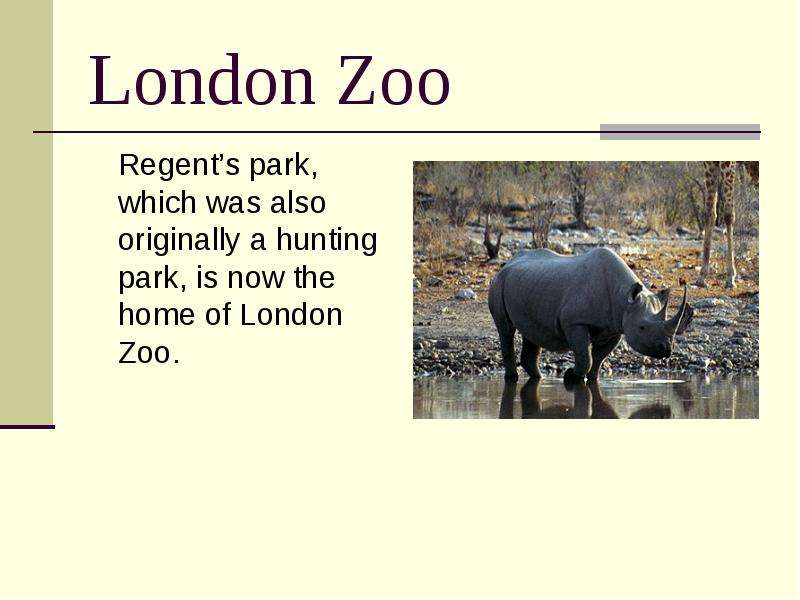 London Zoo Regent s park,