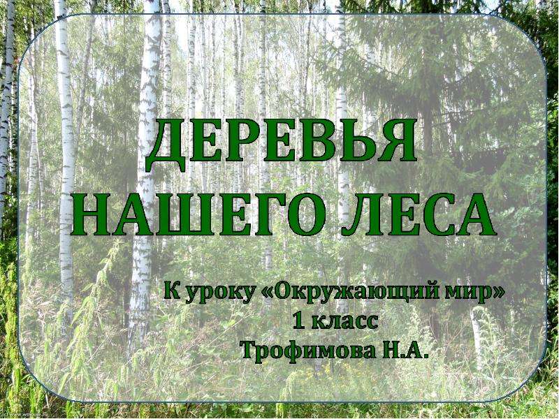 Презентация Скачать презентацию Деревья нашего леса (1 класс)