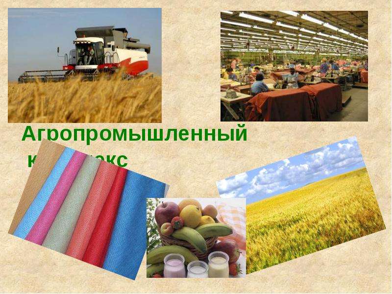 Презентация Скачать презентацию Агропромышленный комплекс России