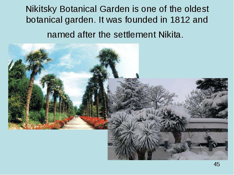 Nikitsky Botanical Garden is