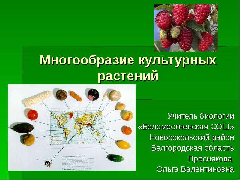 Презентация Многообразие культурных растений