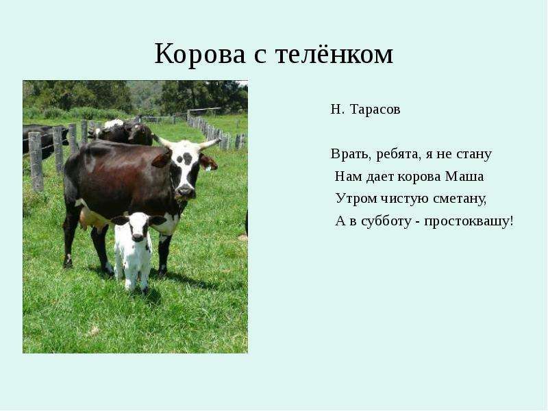 Корова с телёнком Н. Тарасов