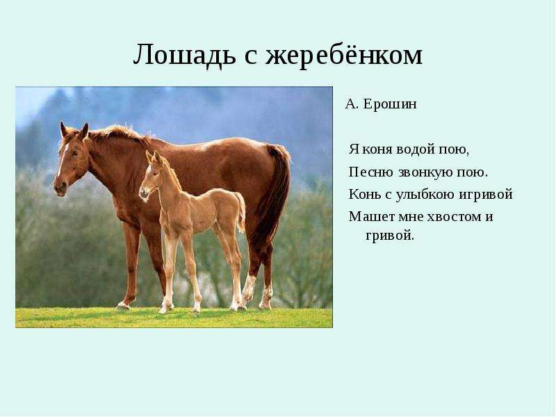 Лошадь с жеребёнком А. Ерошин
