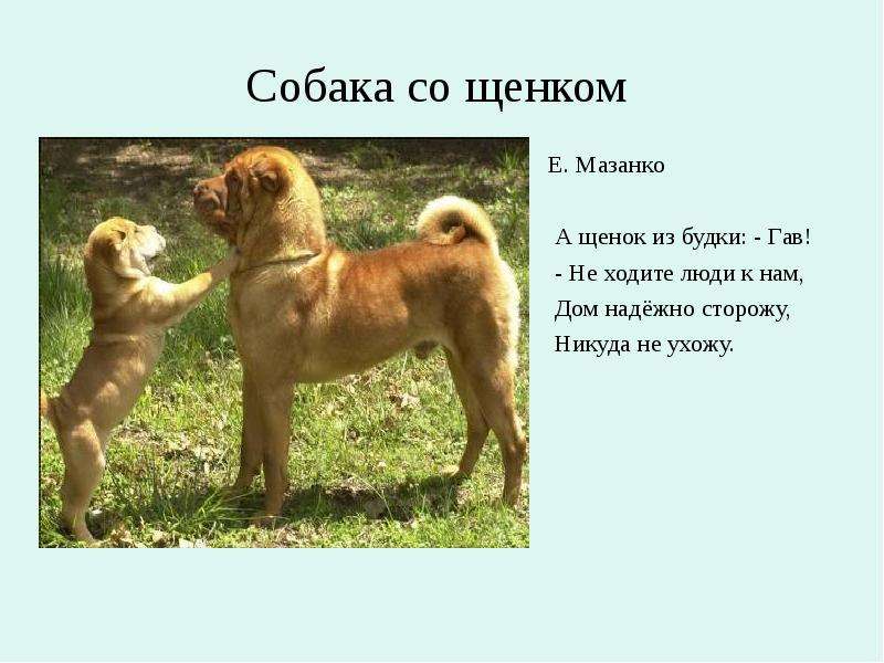 Собака со щенком Е. Мазанко А