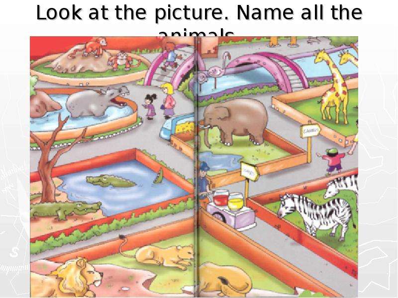 Look at the picture. Name all