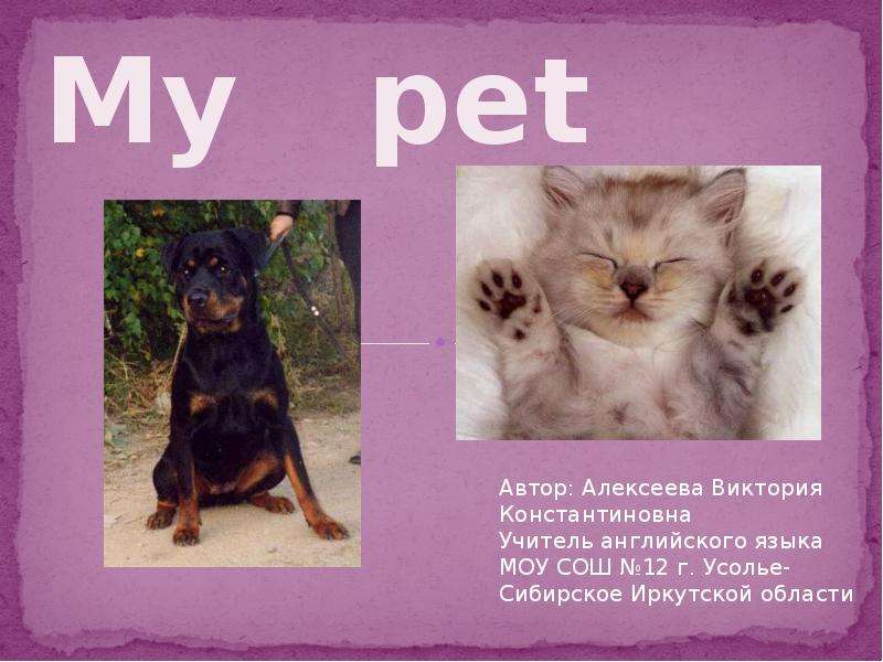 Презентация My pet - Мое домашнее животное