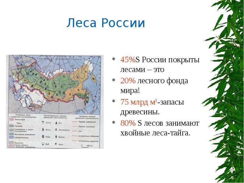S России покрыты лесами это S
