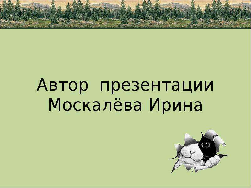 Автор презентации Москалёва