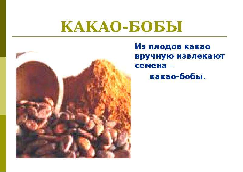 КАКАО-БОБЫ Из плодов какао