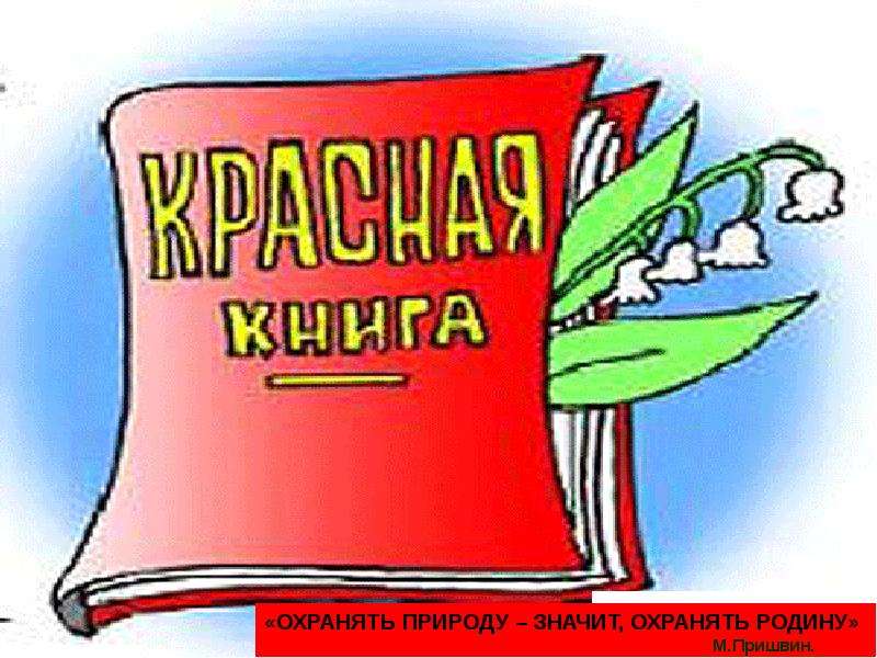Презентация Растения Красной книги Республики Алтай