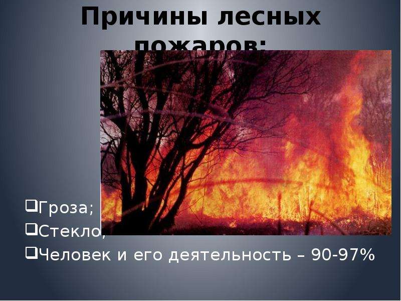 Причины лесных пожаров Гроза