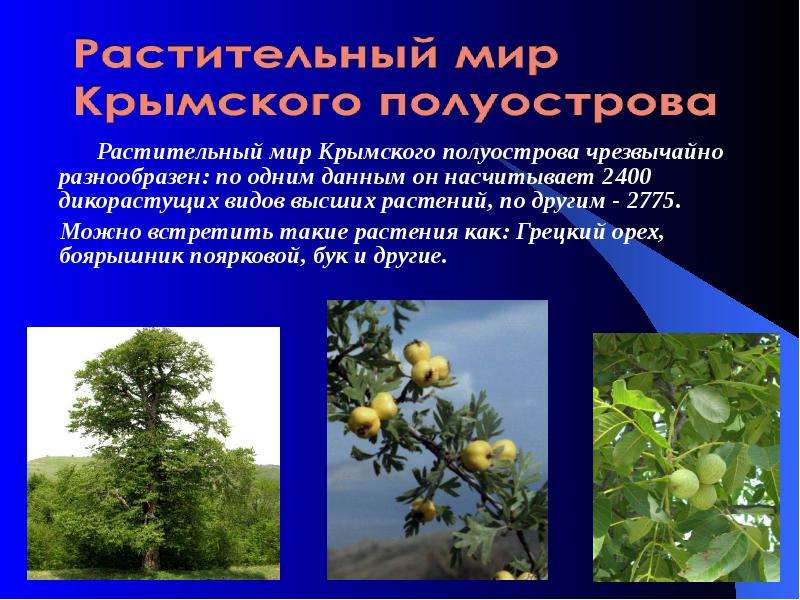 Растительный мир Крымского