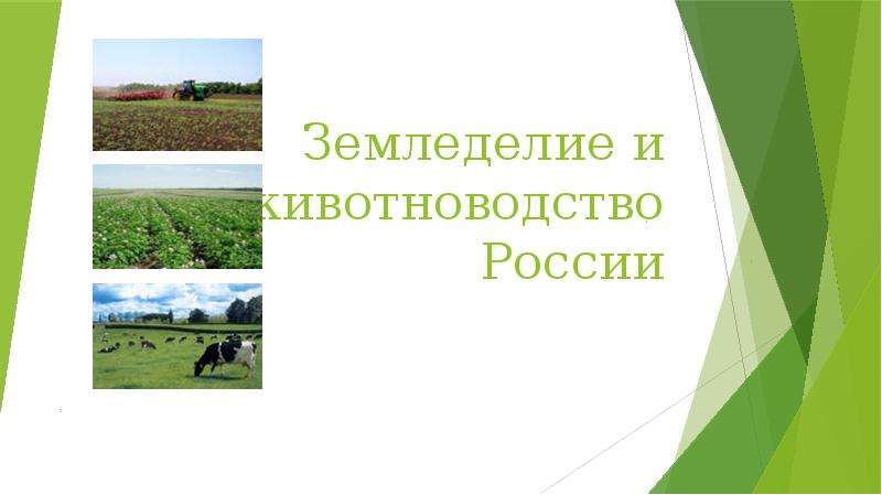 Презентация Скачать презентацию Земледелие и животноводство России