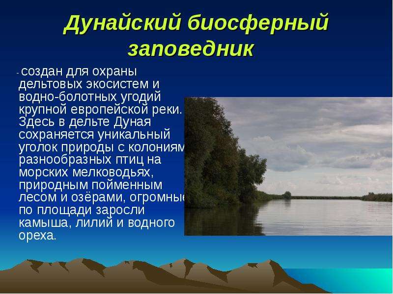 Дунайский биосферный