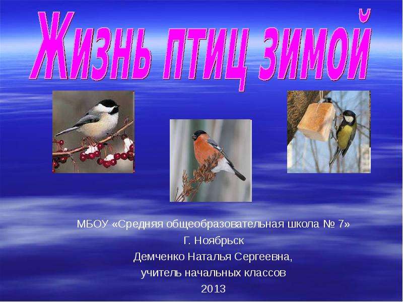 Презентация Скачать презентацию Жизнь птиц (1 класс)