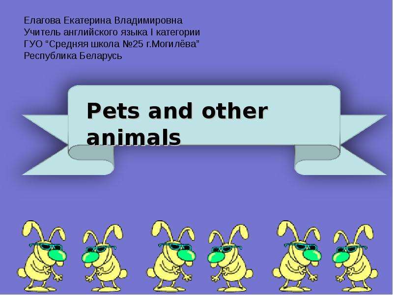 Презентация Pets and other animals (Домашние питомцы и другие животные)