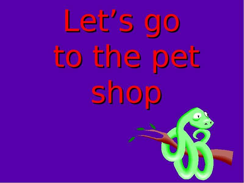 Let s go to the pet shop