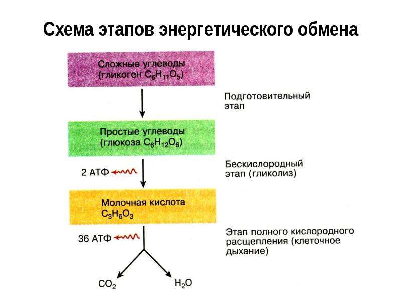 Схема этапов энергетического