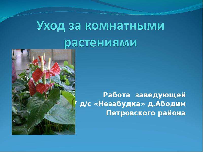 Презентация Уход за комнатными растениями