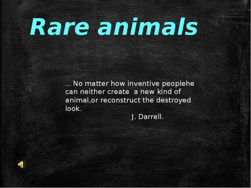 Презентация Rare animals