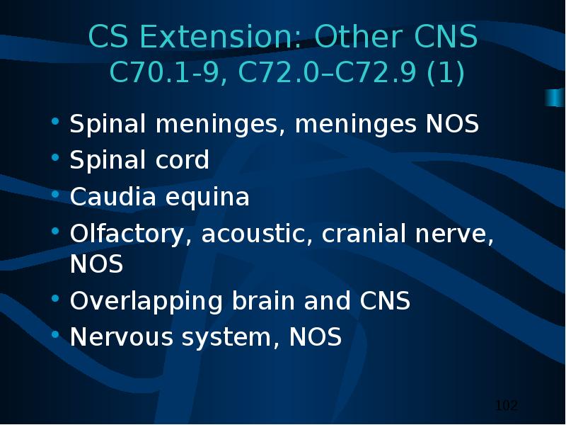 CS Extension Other CNS C . -