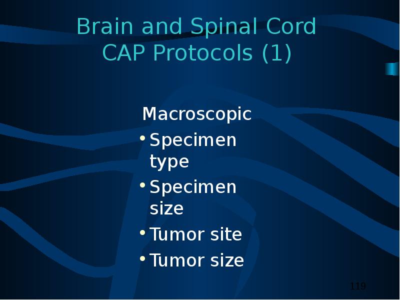 Brain and Spinal Cord CAP