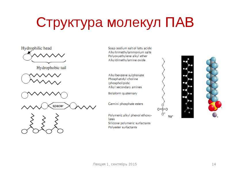 Структура молекул ПАВ