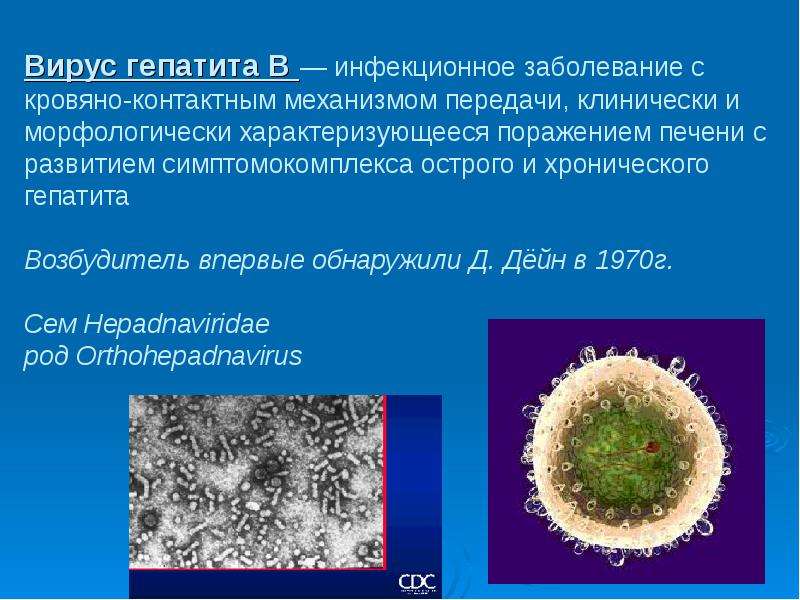 Вирус гепатита В инфекционное